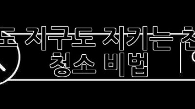 ✨ 건강도 지구도 지키는 친환경 청소 비법 🌿